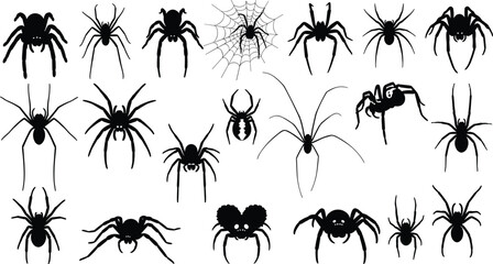Spider silhouettes collection, web design icon, arachnid species, creepy insect, Halloween art, vector illustration, nature design, wildlife icon, predator bug, web pattern