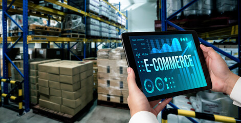 Wall Mural - E-commerce data software provide modish dashboard for sale analysis to the online retail business