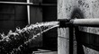 © Baiqvivit - A powerful torrent of water erupts from a damaged pipe in an industrial setting, depicting a significant plumbing challenge that a skilled plumber must address
