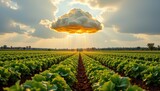 magical cloud releasing rain only on vegetable fields producing optimal hydration enhancing crop health and creating productive sustainable farming landscape