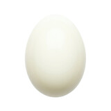 Peeled white hard boiled egg