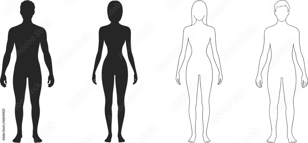 Male and female human body silhouettes and outlines, anatomical front ...