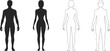 © MdSobhan - Male and female human body silhouettes and outlines, anatomical front view, gender comparison chart, medical illustration, vector design, anatomy reference template