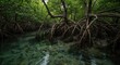 © DENIS - Vista cênica de um ecossistema próspero de manguezal, com raízes entrelaçadas e águas rasas e calmas. Ideal para temas de meio ambiente, biodiversidade e conservação.