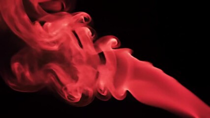 The intricate structure of a biological component is illuminated, showcasing its complex form and internal details against a dark backdrop, emphasizing its three-dimensional nature.
