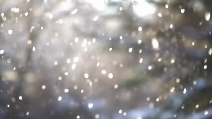 Magical snowfall ambiance video featuring dreamy bokeh, delicate snowflakes gently cascading down
