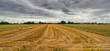 © Maryna Konoplytska - Golden summer agricultural field and haystacks. Harvesting cereal plants
