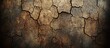 © Aliando - Cracked earth surface with a dark, weathered texture, showing signs of dryness and age.
