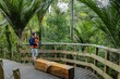 © Stefan - A photographer with camera and backpack pauses on a wooden walkway to admire the lush rainforest in New Zealand. He is enjoying the natural beauty of the area.