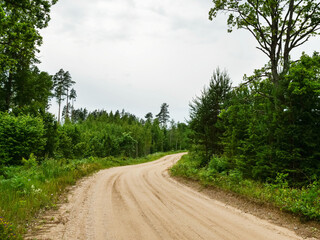 Wall Mural - Small rough dirt road in a forest. Trip to nature concept. Living in remote rural country side in nice clean environment.
