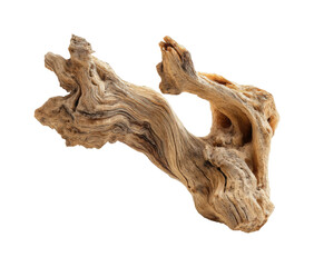 Unique driftwood sculpture natural environment artistic display home, isolated on transparent background, png