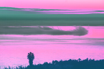 Wall Mural - Seascape during sunset. Minimalist landscape. Silhouette of a palm tree against the sea. Lake Tiberias, Israel