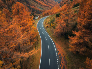 Wall Mural - aerial view of winding road in swiss alps, switzerland. bright orange larch forest in vibrant autumn