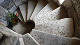 Curved stone staircase with a vibrant plant at the base inside a historical building
