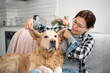 © Ievgen Skrypko - Happy Girl Plays With An Adorable Golden Retriever Dog And Amusingly Holds Its Ears