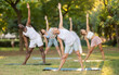 © JackF - Fitness, sport and healthy lifestyle concept: group of multinational people doing yoga yoga pose - vrikshasana pose on mat in summer park