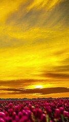Wall Mural - Flower Fields Under An Orange Sky At Sunset - Timelapse, Vertical Shot