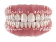 © Anuson - A set of false teeth, including the upper and lower dentures, sits against a stark white background closeup shot.