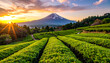 © tkc - 茶畑越しの富士山