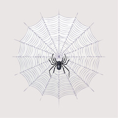 Intricate Spiderweb with Black Spider A Spooky Halloween Illustration
