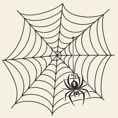 Illustration of a spider hanging from a web with a hourglass on its abdomen in a simple black outline