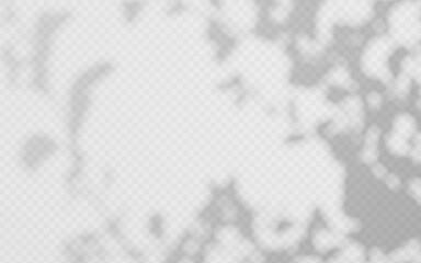 Wall Mural - shadow overlay of abstract foliage branch on transparent background