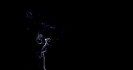 Wall Mural - Real smoke on a black background. Thin Flexible Trickle of Real Smoke. Colorful real smoke rises up. Ideal for background or over-layer with blending mode add, screen, lighten.