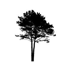 Green Tree Isolated on White Background. Vector Illustration