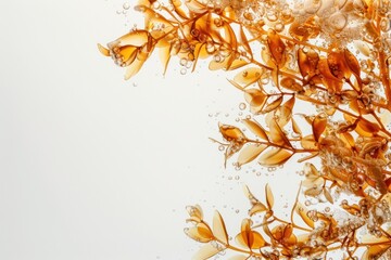 Wall Mural - seaweed plant oil bubble accessories chandelier accessory.
