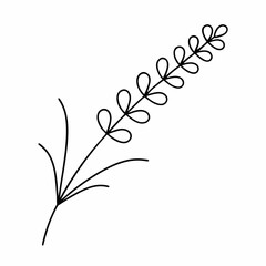 Lavender Branch Outline Vector