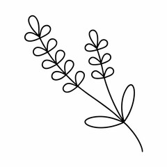 Lavender Branch Outline Vector