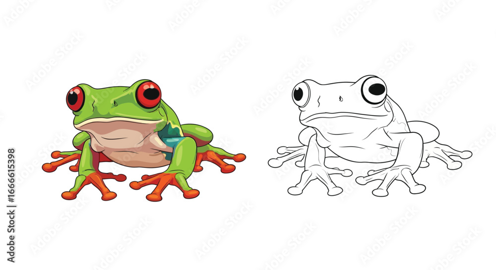 Amazon Tree Frog Coloring Page with Colorful Example and Detailed Line ...