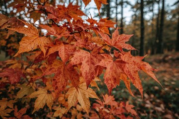 Wall Mural - detailed view of colorful fall foliage featuring hues of orange and yellow, showcasing the charm of 