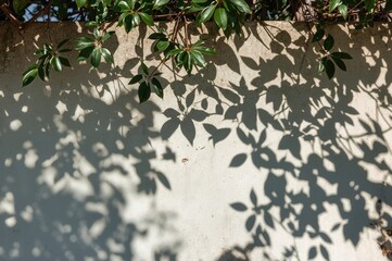 Wall Mural - shadow patterns of leaves on a textured concrete wall with sunlight filtering through tree branches 