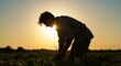 © Dewi - Silhouette of a young farmer working in a field at sunset, embodying hard work and dedication