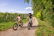© JRP Studio - Couple riding e-bikes through vineyard path