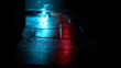 © Dylan - Rainy Night Reflections on Wet Pavement