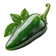 © ArtOm@r98 - Fresh green jalapeno pepper with water droplets isolated on transparent background