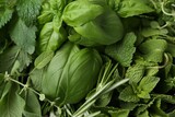 Different fresh green herbs as background, top view
