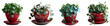 © LABONI - Four lush green potted plants in decorative red ceramic pots with saucers, isolated on transparent background