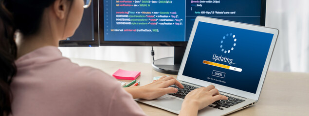 Software update on computer for brisk version of device software upgrade