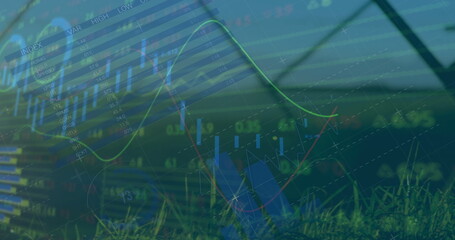 Wall Mural - Displaying market overlay over grass field fence, showing candlestick, line graphs with index table