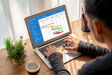 Wall Mural - project planning software for modish business project management on the computer screen showing time