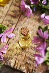 Wall Mural - A bottle of common mallow essential oil with blooming mallow plant