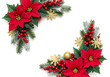 © PNG BOSS 22 - Red poinsettia green foliage gold snowflakes red berries