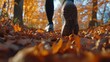 © Alfiyah - Person walking on vibrant autumn leaves in forest, low angle view of running shoes on fall foliage path during seasonal activity