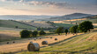© TanminAkter - Rolling green hills with scattered round hay bales in a golden wheat field under a cloudy sky full hd 4k stock image download