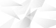 © Husni - Abstract background with liens and triangles shape on white background. White and grey geometric overlapping rectangle pattern Geometric background soft shadows as patten ..White polygon textured .