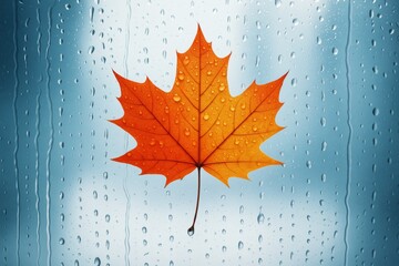 bright orange maple leaf with water droplets stuck on glass window with rain drops in soft light blu