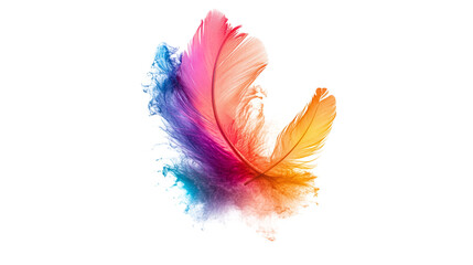 Wall Mural - multicolor feather isolated on transparent background 